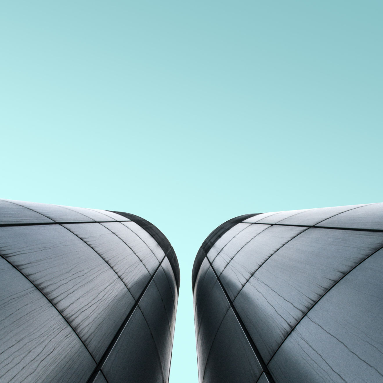 Luisa Schultz, Untitled, 2018