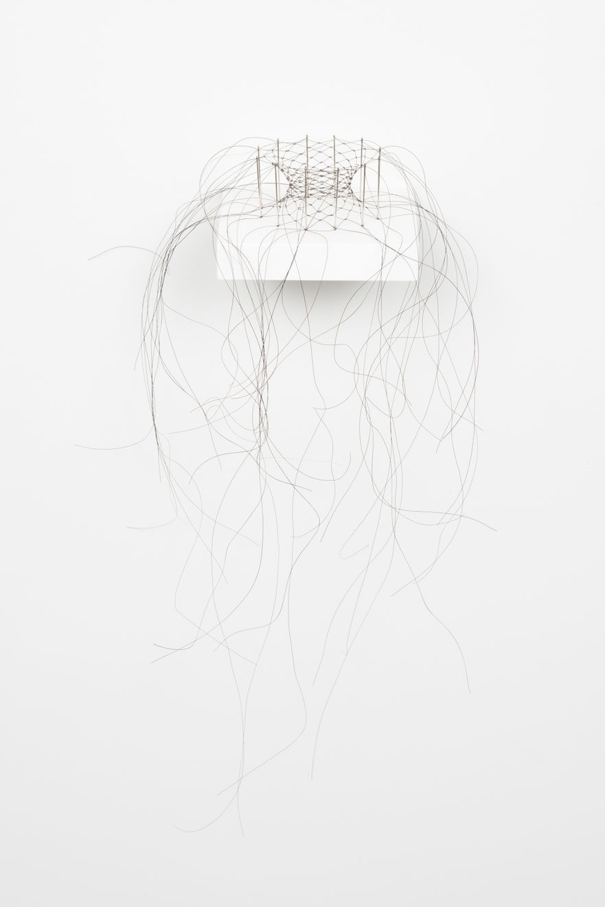 Christiane Löhr, Haararbeit (Hair Work), 2017