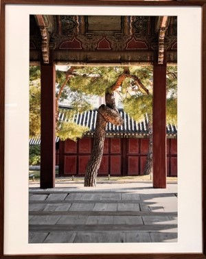 Kim Heewon, Someone’s window, 2026