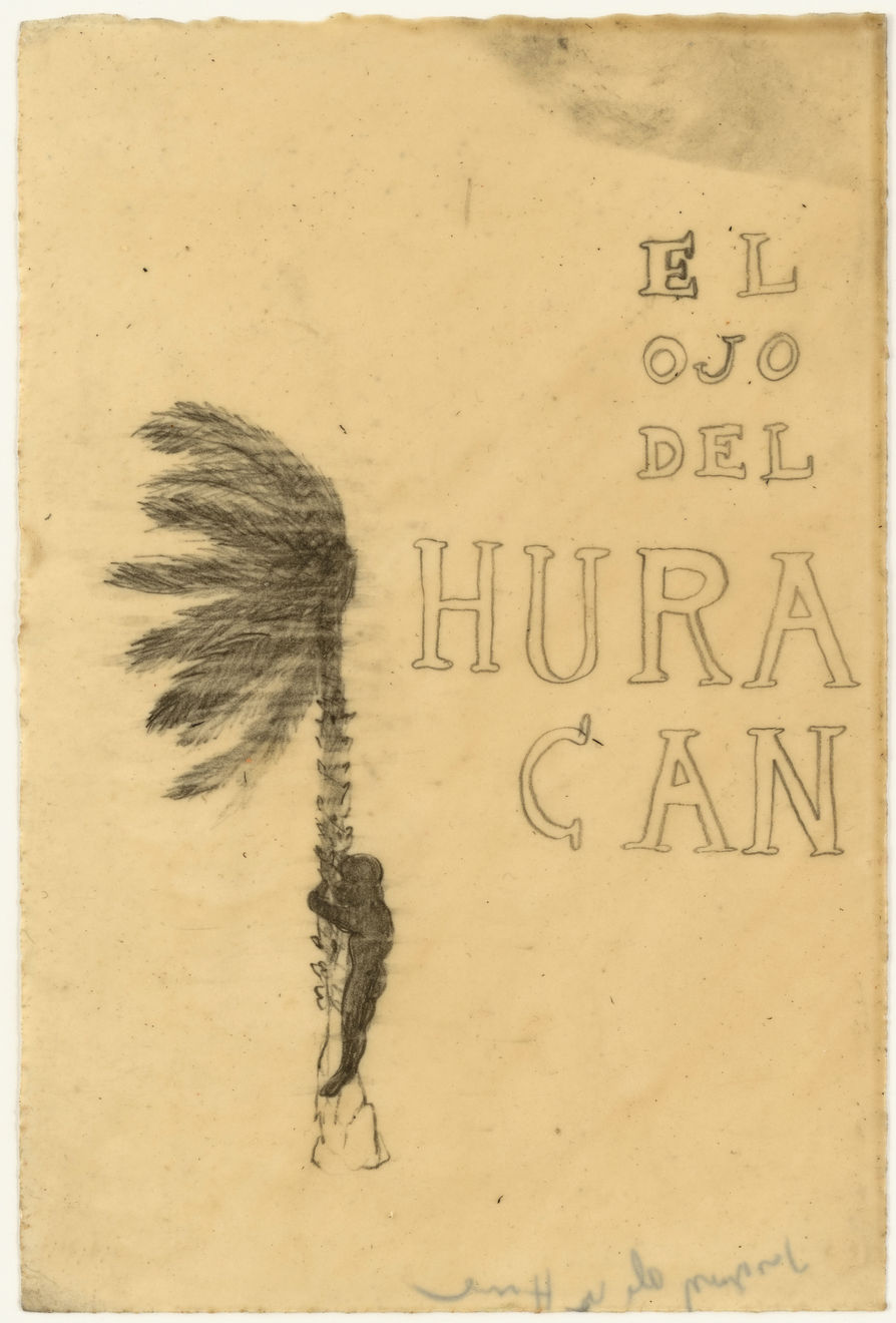 Sandra Vásquez de la Horra, El Ojo del Huracan, 2009