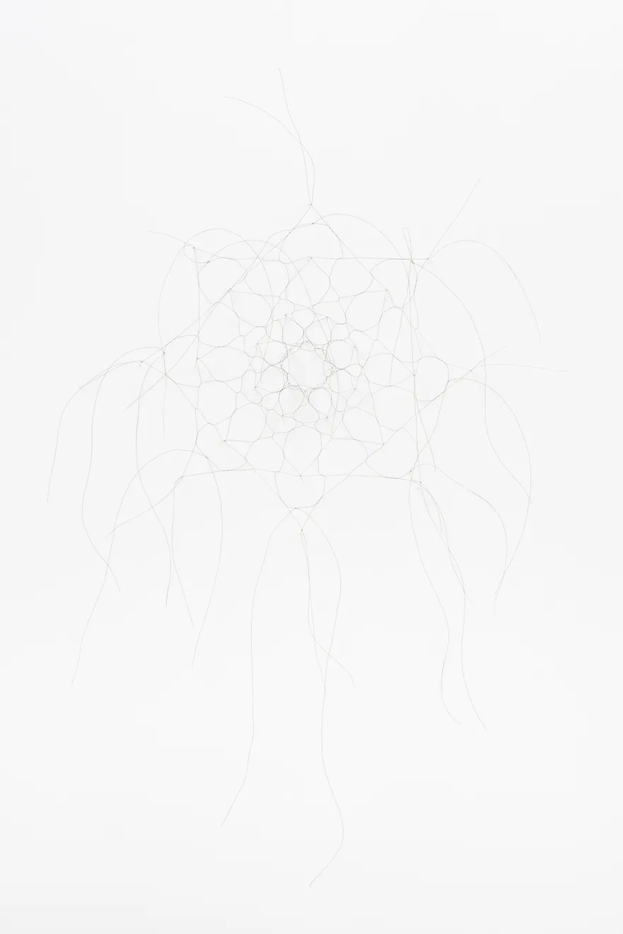 Christiane Löhr, Haarnetz Daegu ( Daegu Hair Net), 2017