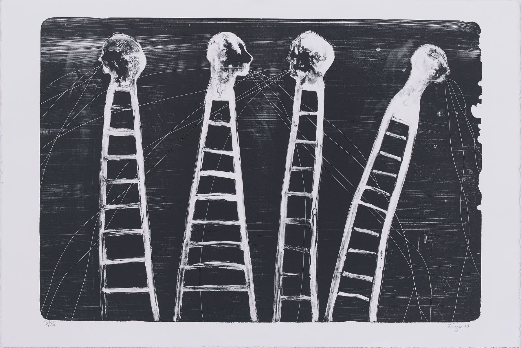 Barthélémy TOGUO, WILD HOPES, 2009