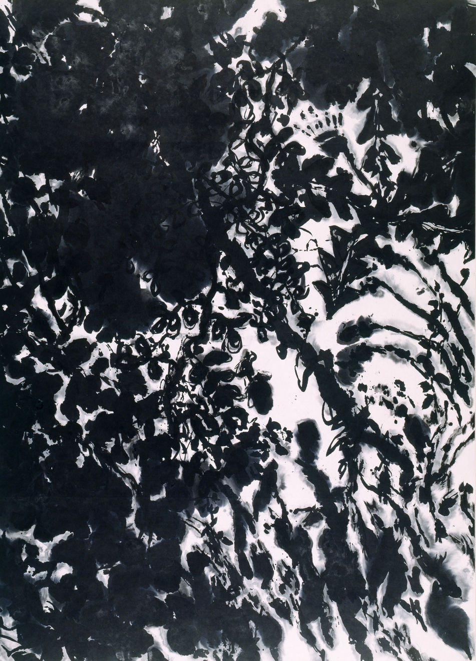 Kang Kyung-Koo, Forest , 2001