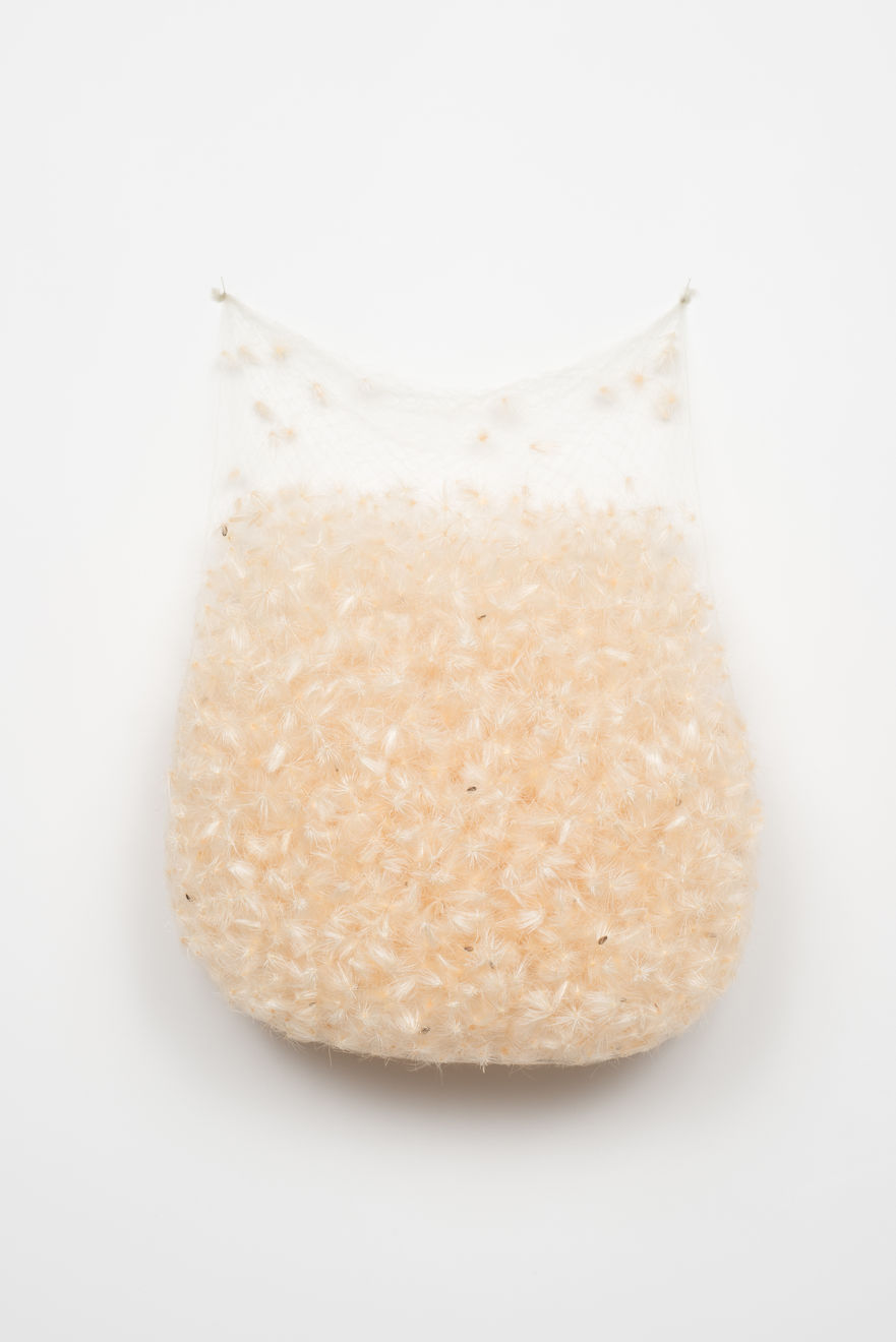 Christiane Löhr, Samenbeutel (Seed Bag), 2017