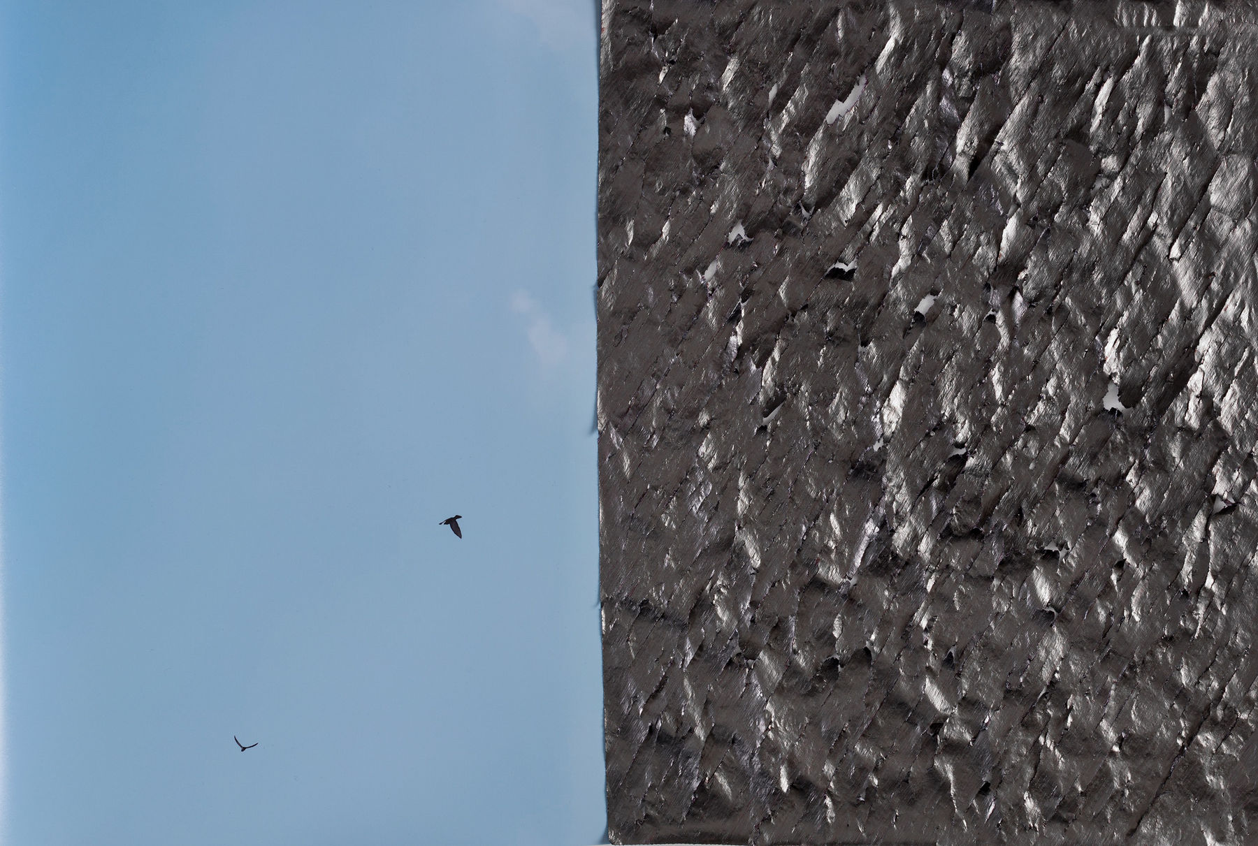 Choi Byung-So, Untitled 0241129, 2024