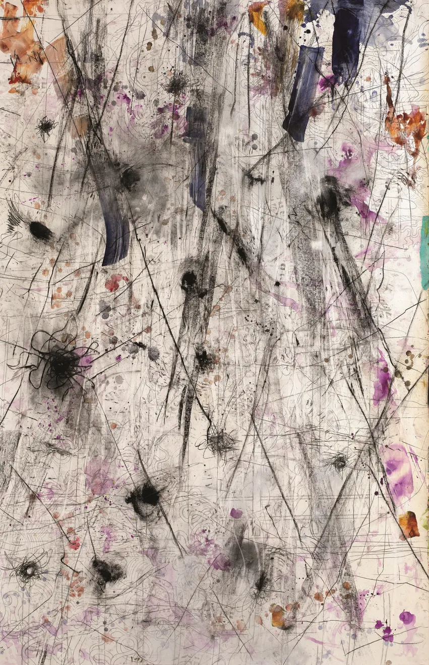 Hubert Scheibl, No Ginger O, 2009-10