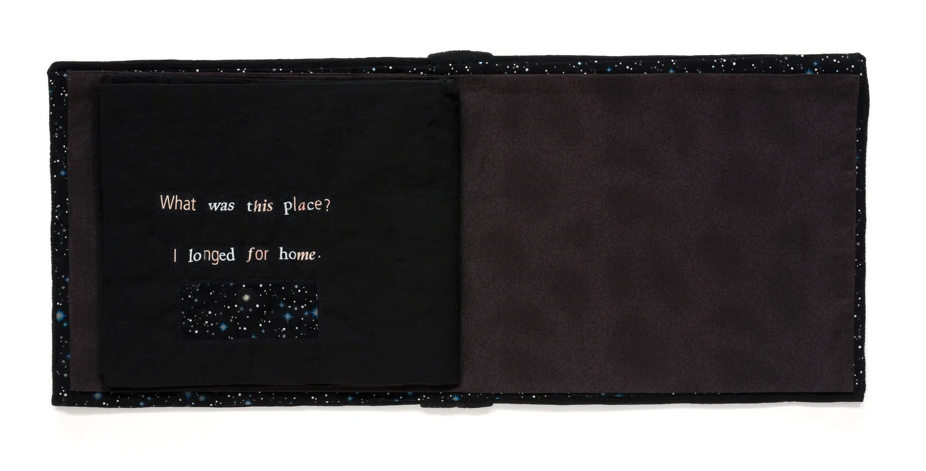 China Marks, Second Black Book, 2009