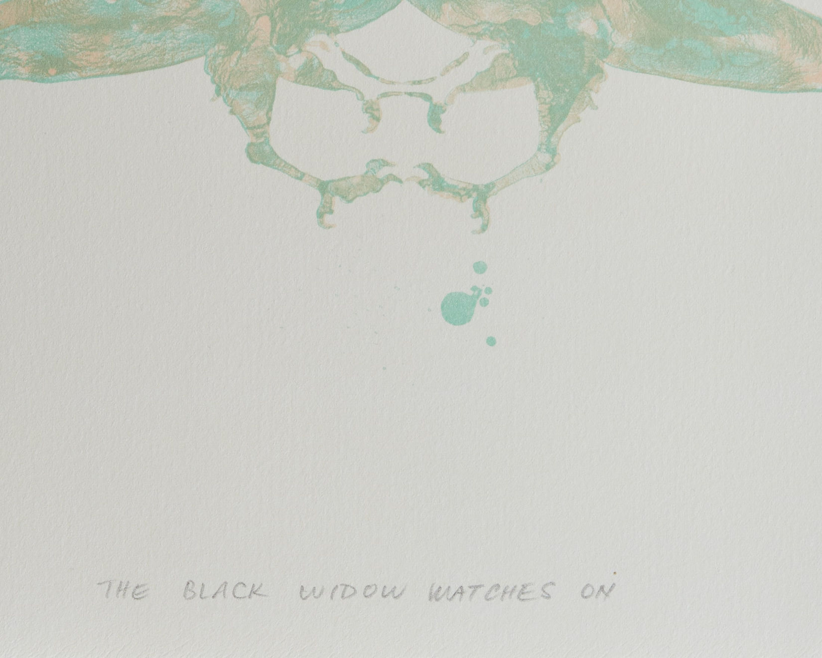 Nusra Qureshi, The Black Widow Watches On, 2016