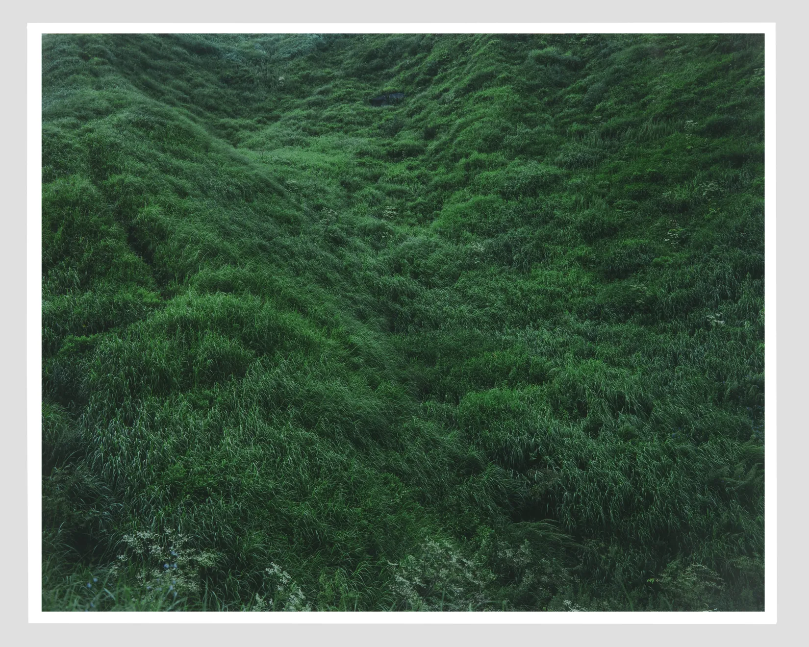 Rinko Kawauchi, Untitled, from the series Ametsuchi, 2013