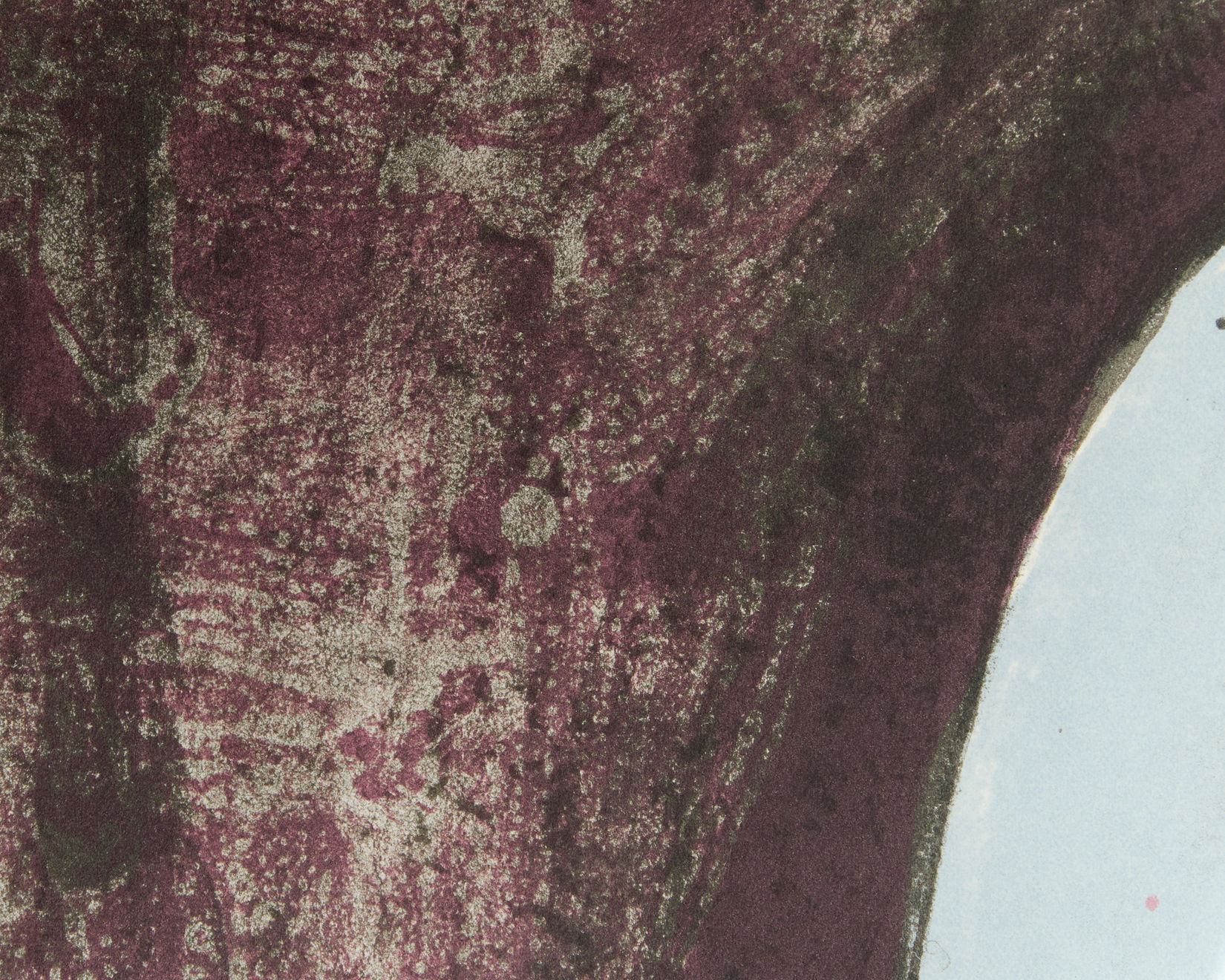 Rufino Tamayo, Woman with Pink Tights (Femme au collant rose/Mujer con mallas rosas), 1969