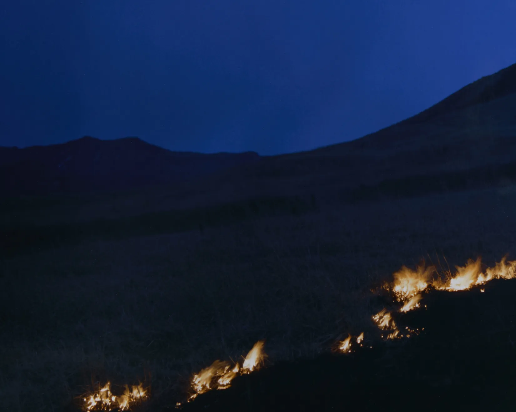 Rinko Kawauchi, Untitled, from the series Ametsuchi, 2013