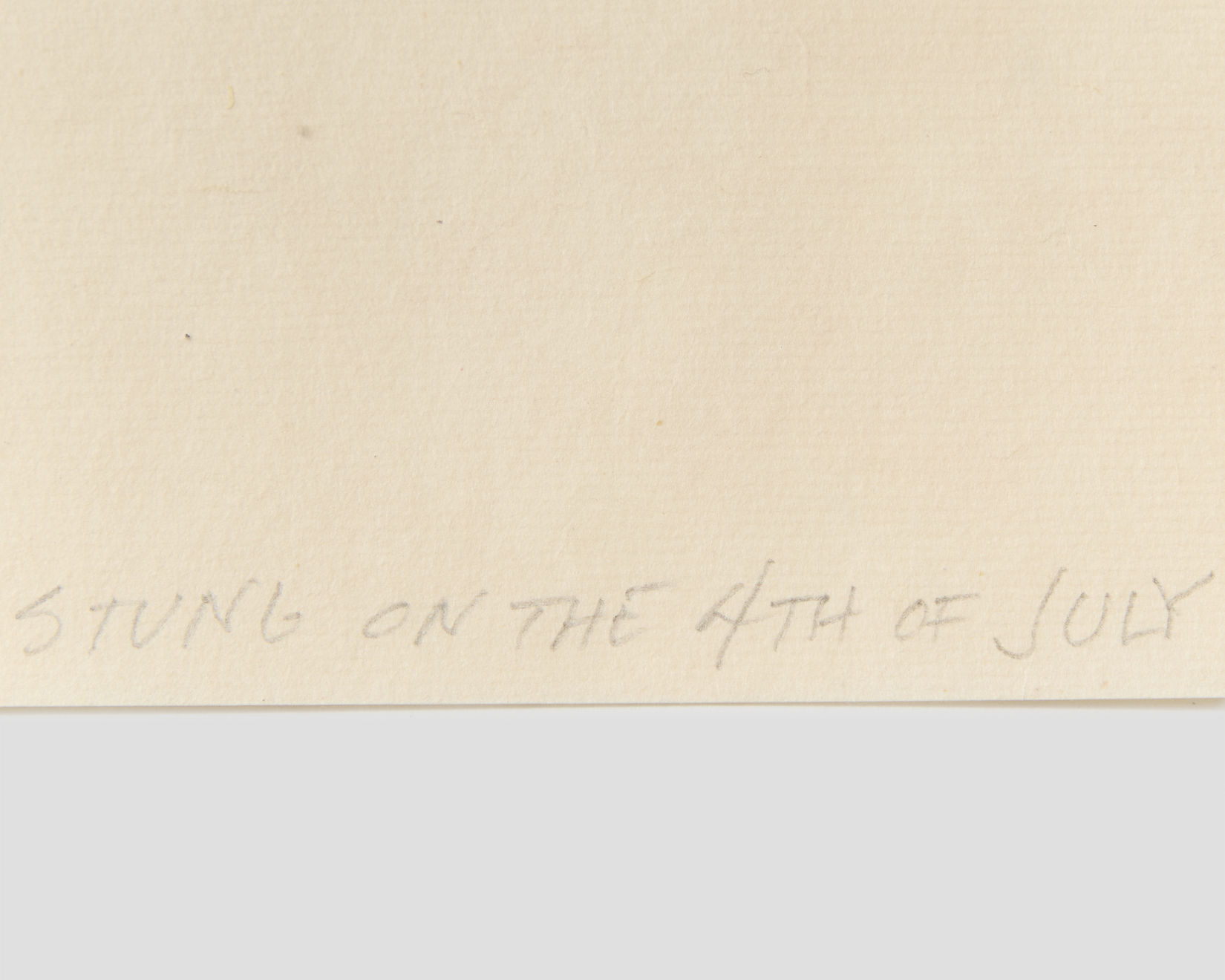 Huck, Tom, Stung on the 4th of July , 2023