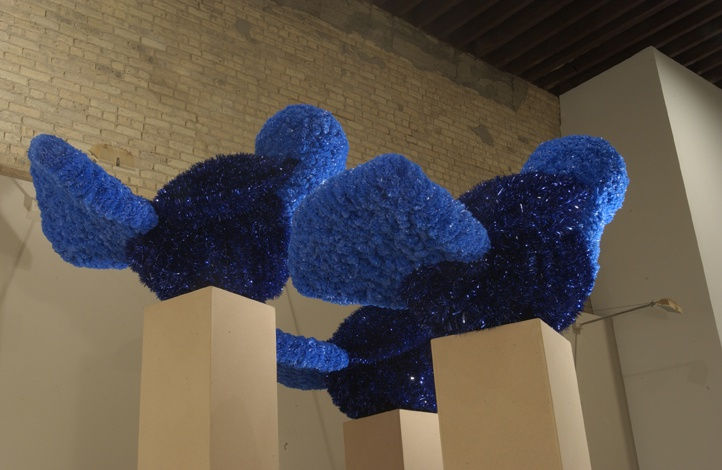 Bluebird Burden, 2004, installation view Monique Meloche Gallery