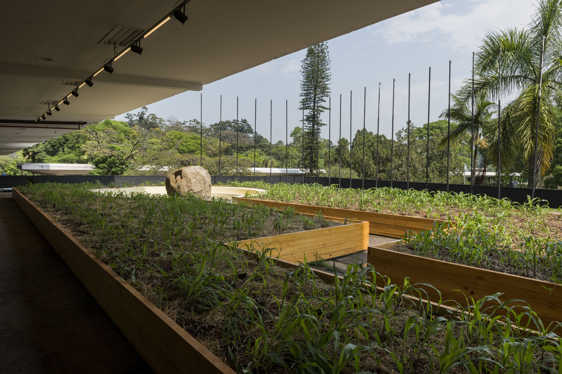 Imagens [photo] Ding Musa Clique para baixar as imagens