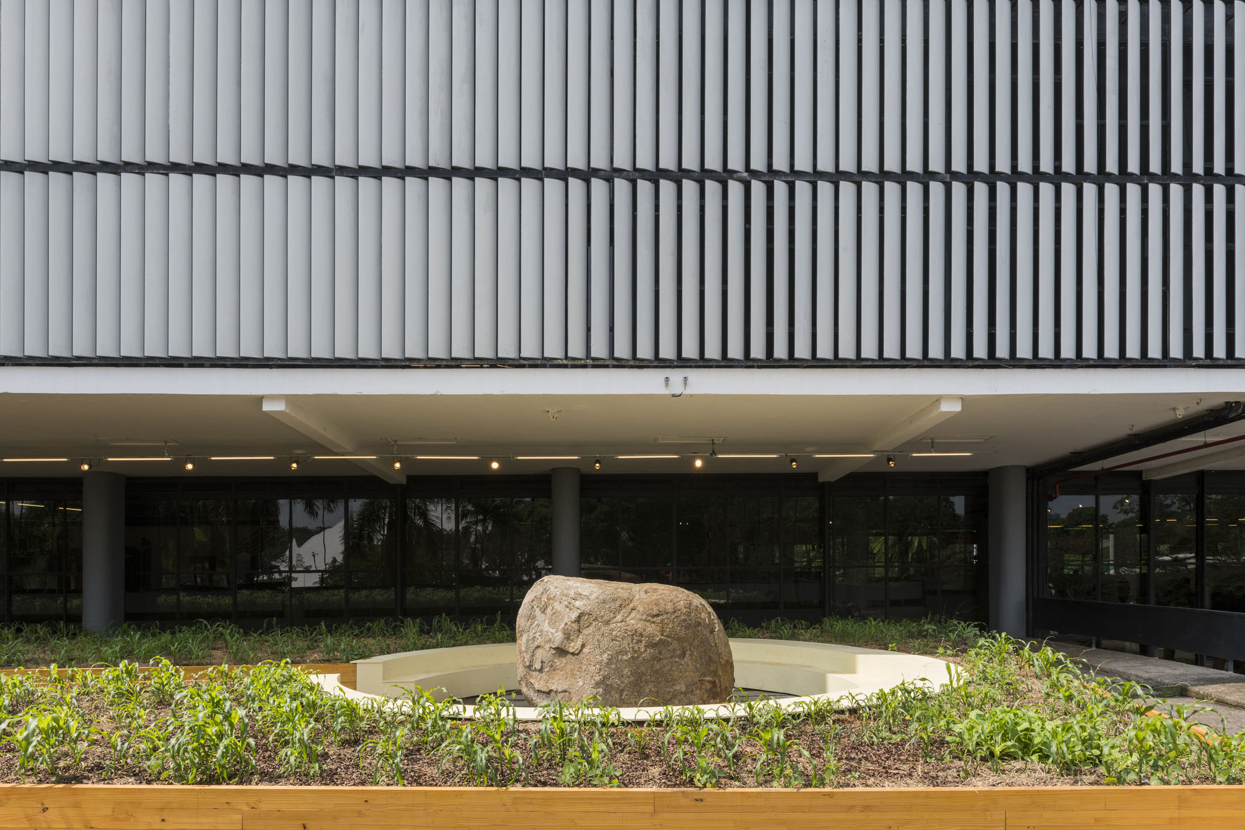 Imagens [photo] Ding Musa Clique para baixar as imagens