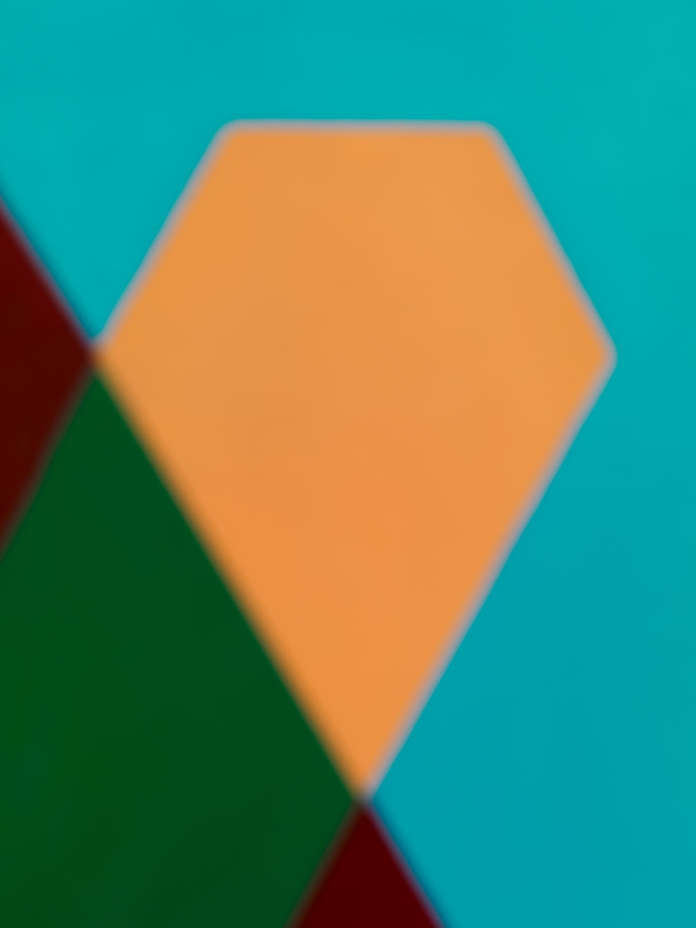 Susan Watson Knight Birdsong Three Archival Pigment Print Limited Edition 5 85 x 113.5 cm $1870 £905 65 x 86.5 cm $1650 £800