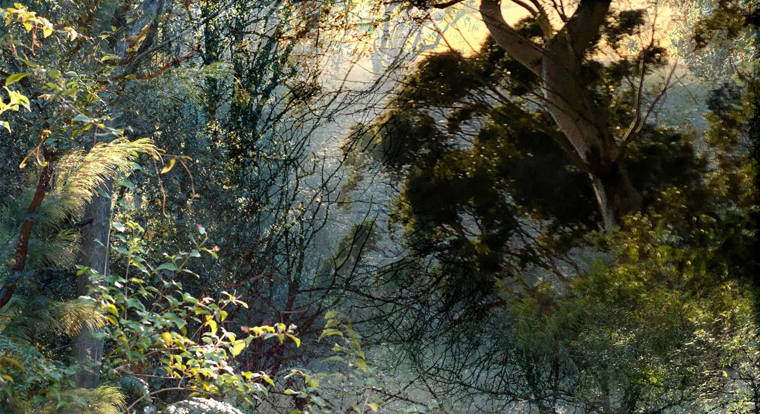 ETTALONG DREAMING Archival Pigment Print Limited Edition 11 Paper size: 131.54 x 81.15 cm Image size: 115.64 x 63.32 cm $2400 £1210 Paper size: 53.54 x 34.29 cm Image size: 43.59 x 23.96 cm $900 £460 Paper size: 25 x 16.18 cm Image size: 19.84 x 10.86 cm $400 £210