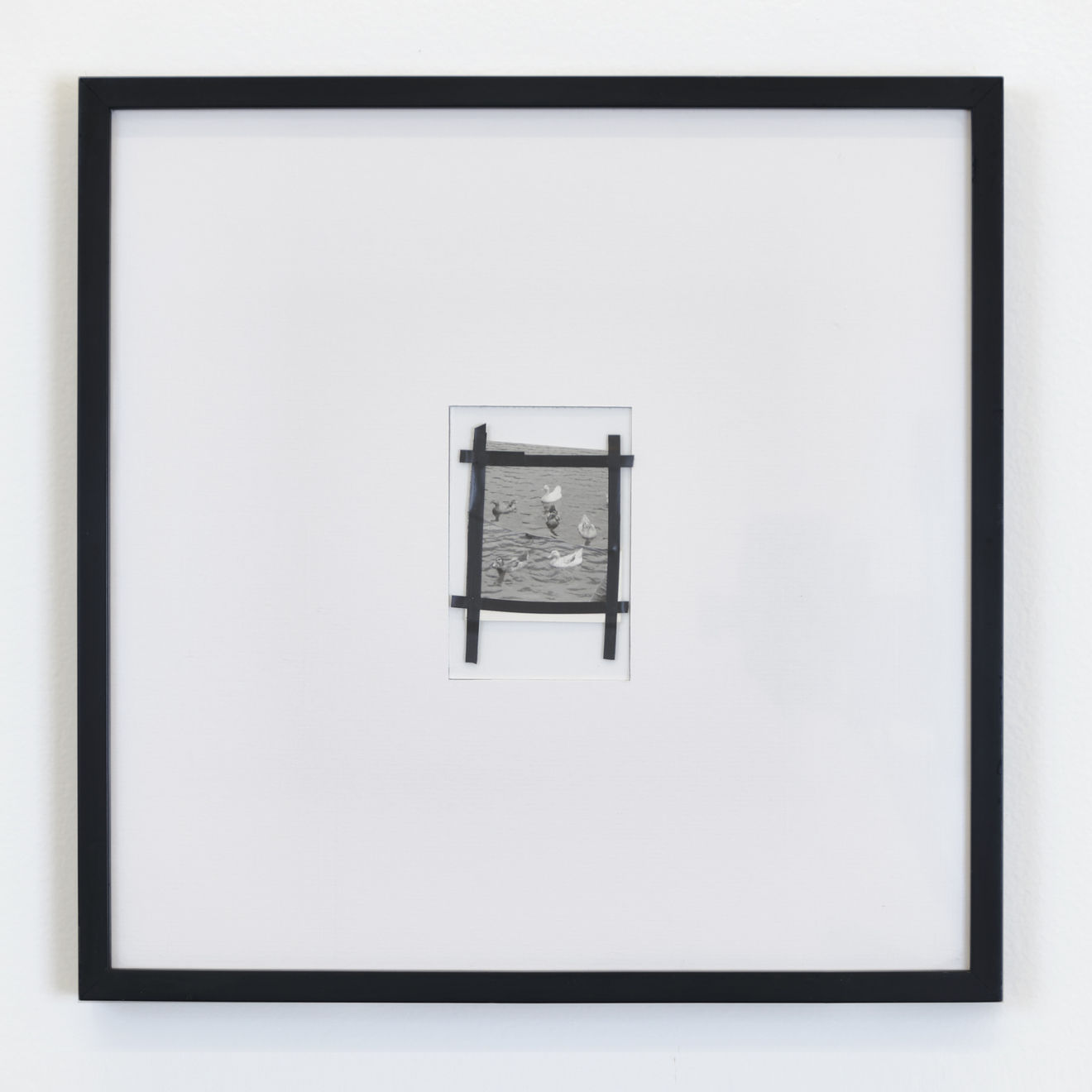 Geraldo de Barros, Sem título da série 