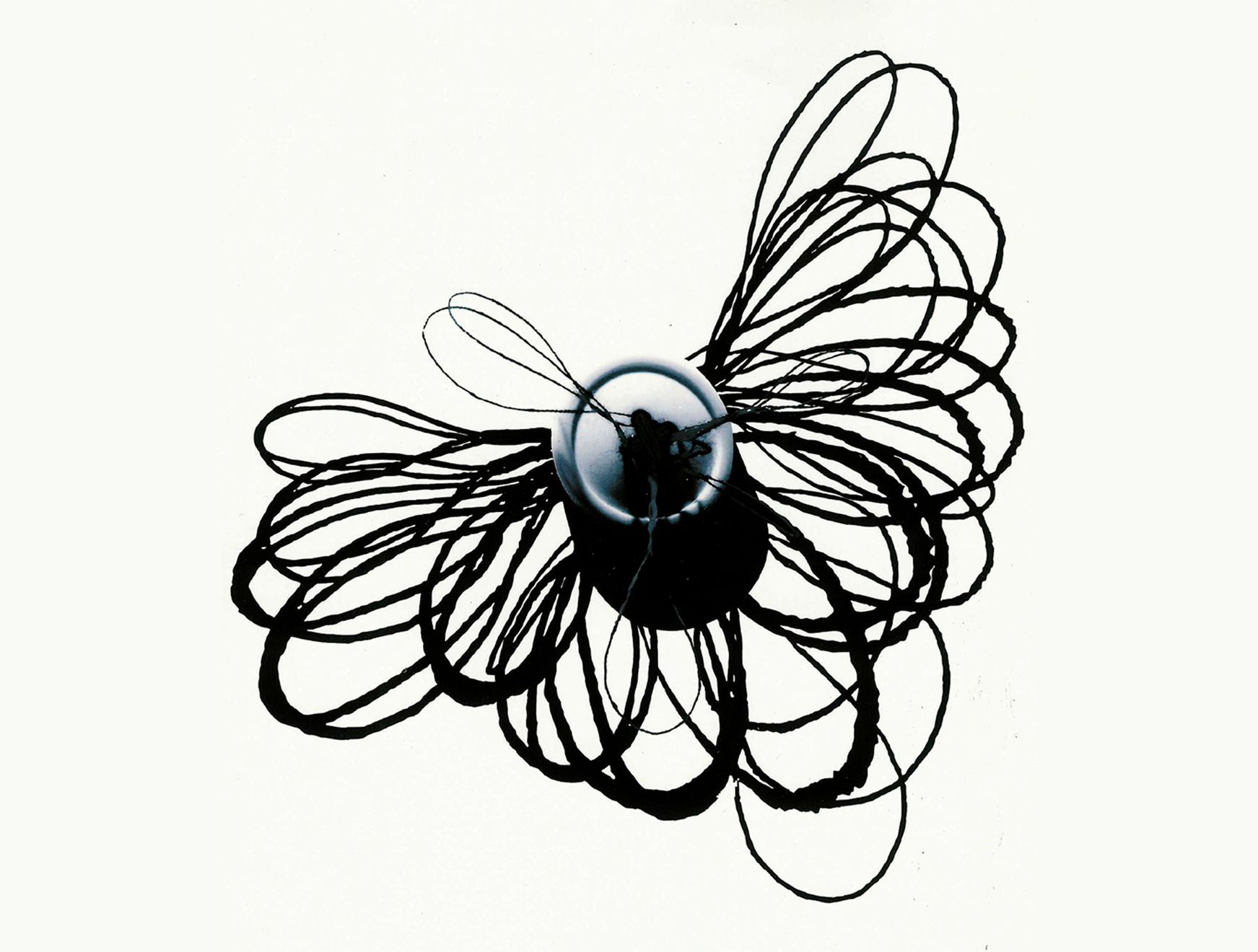 Regina Silveira, “Botão” da série 