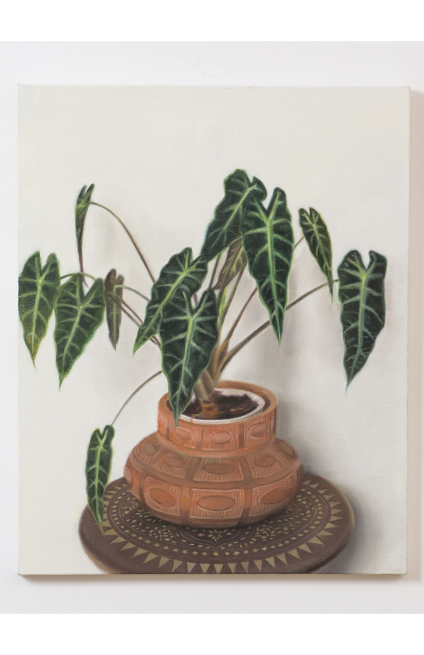 Rafael Carneiro, Sem Título, 2015