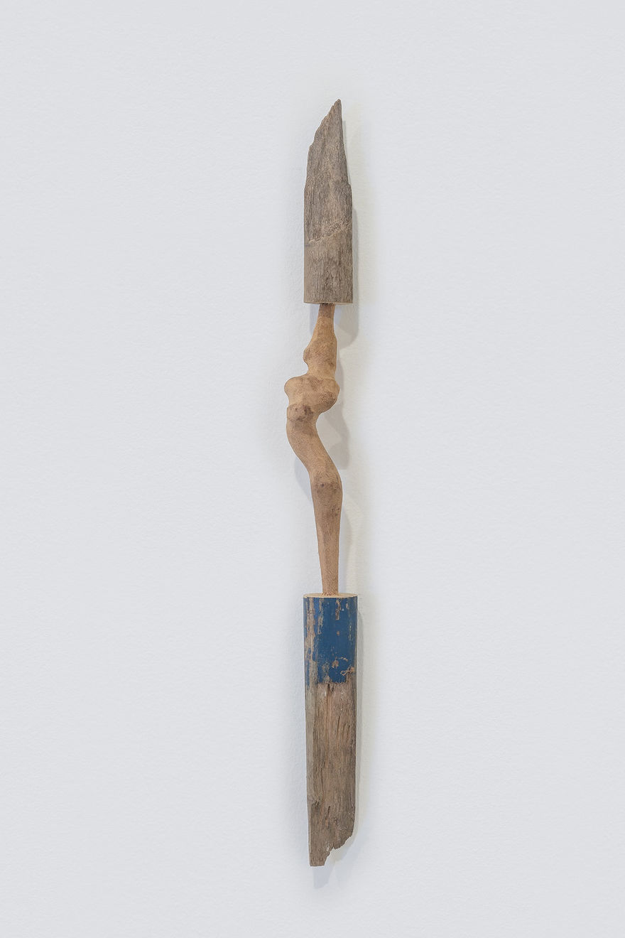 Afonso Tostes, Sem título | Untitled, 2020