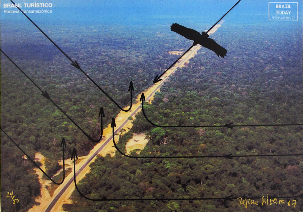 Regina Silveira, Brazil Today, Brazilian Birds , 2007