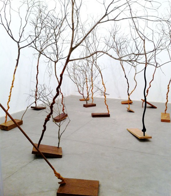 Afonso Tostes, ¨Ao mesmo tempo¨, 2011