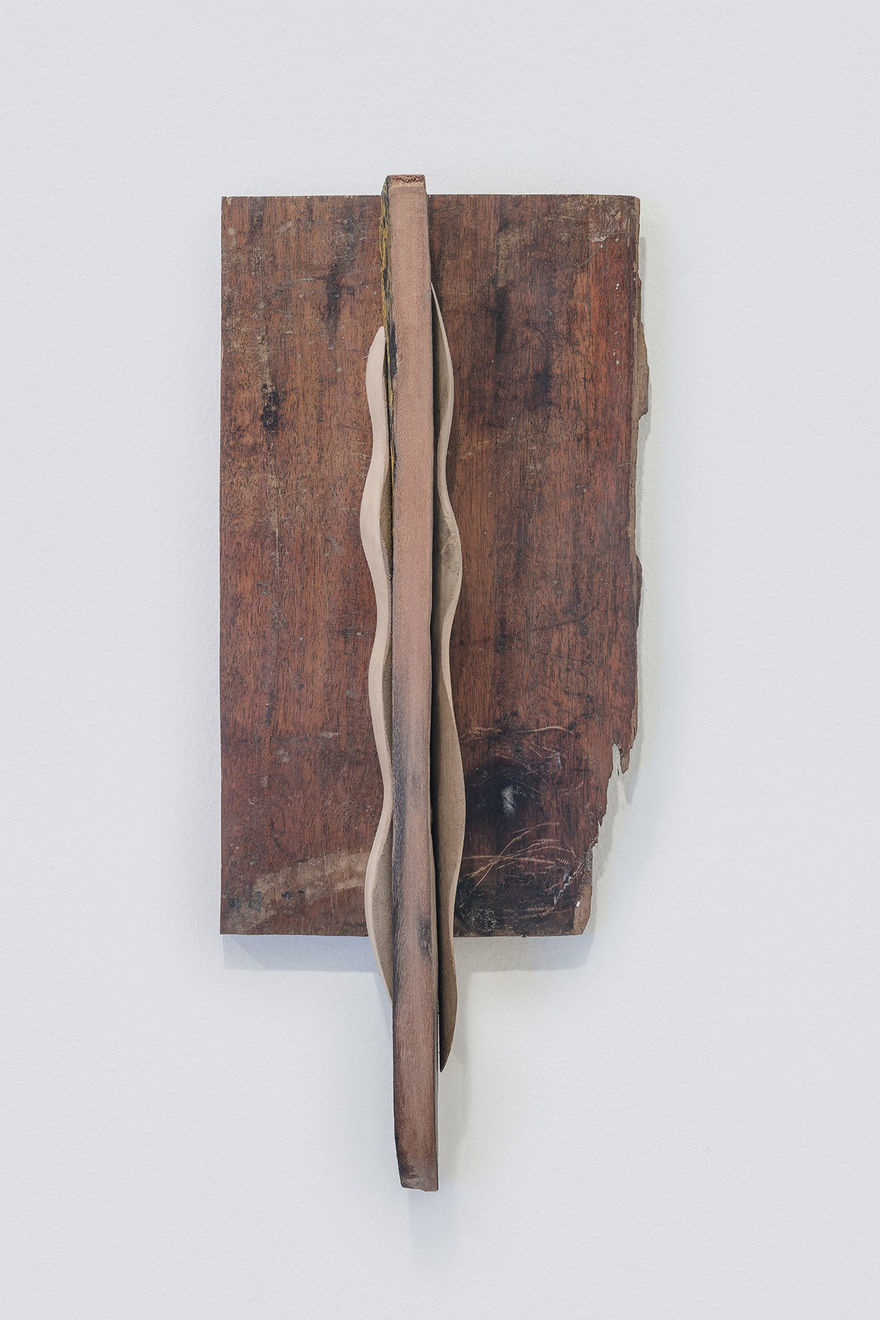 Afonso Tostes, Sem título | Untitled, 2020