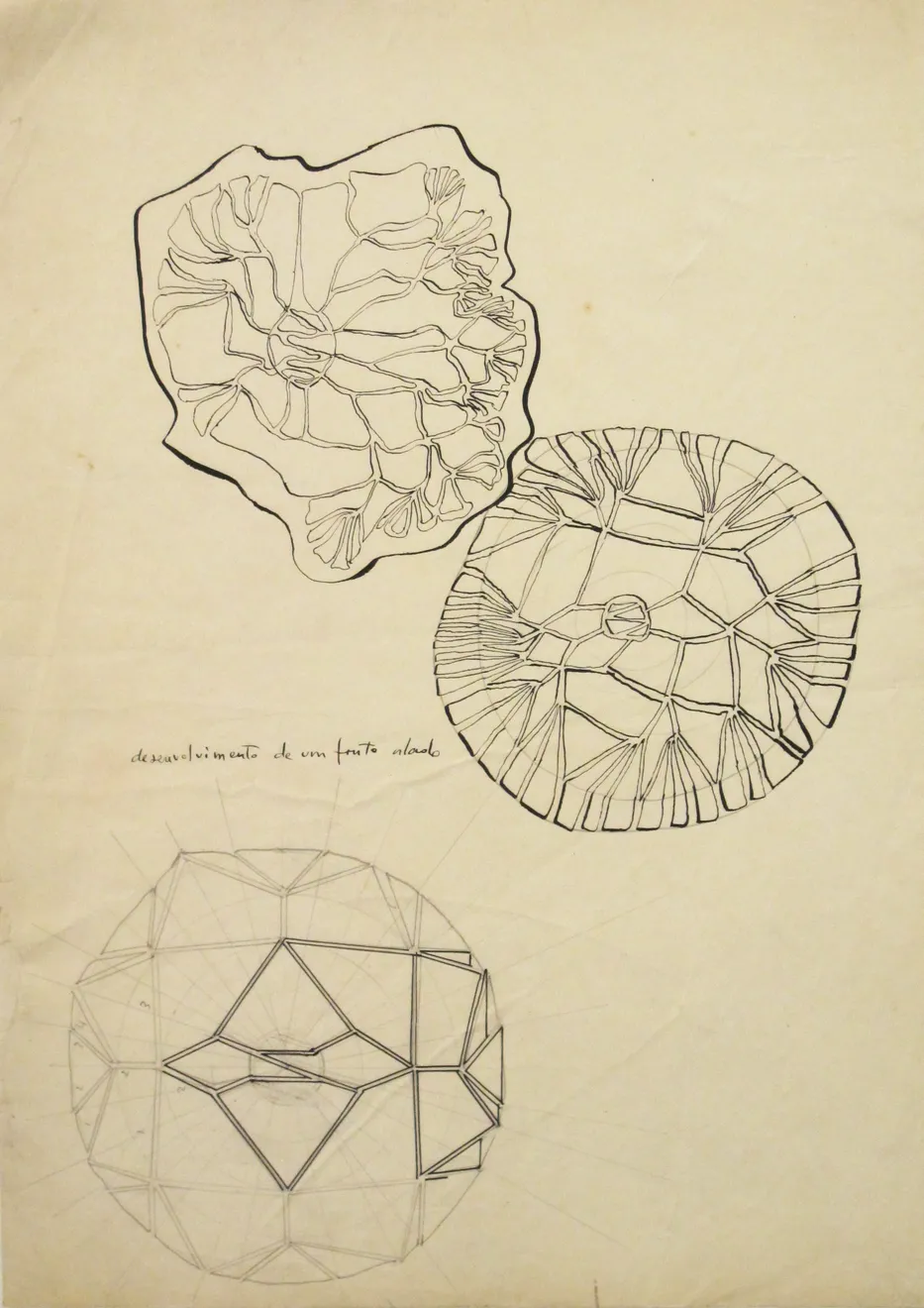 Waldemar Cordeiro, Sem título | Untitled, s.d.