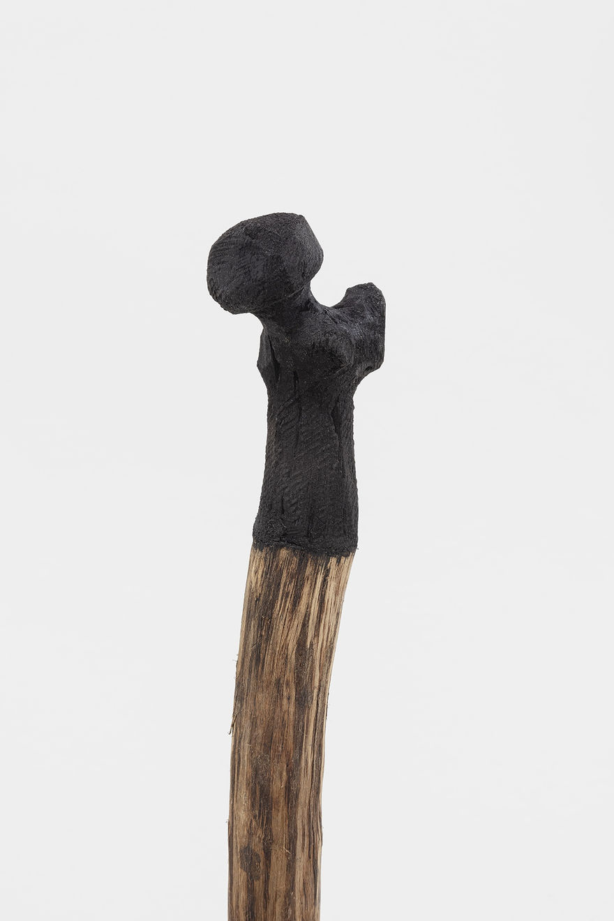 Afonso Tostes, Sem título | Untitled, 2021