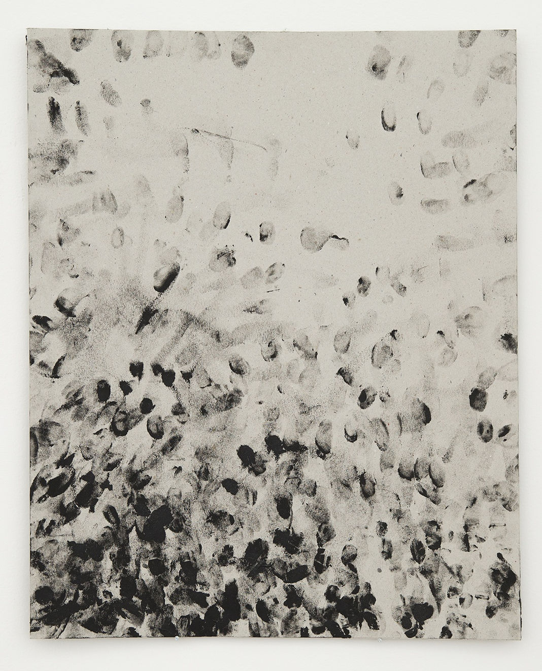 Tiago Tebet, Pineapple Express, 2015