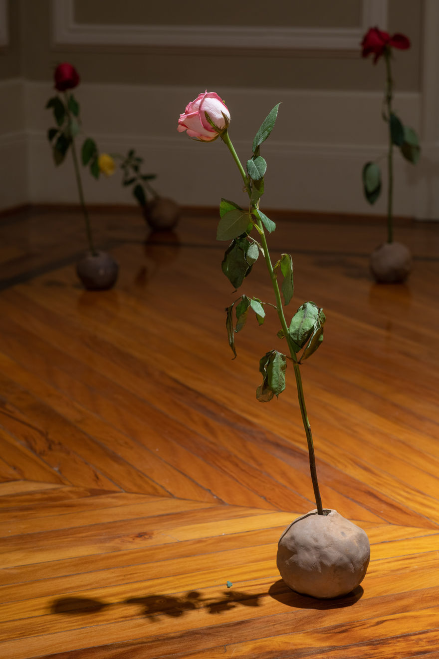 Bosco Sodi, Sem título | Untitled, 2024