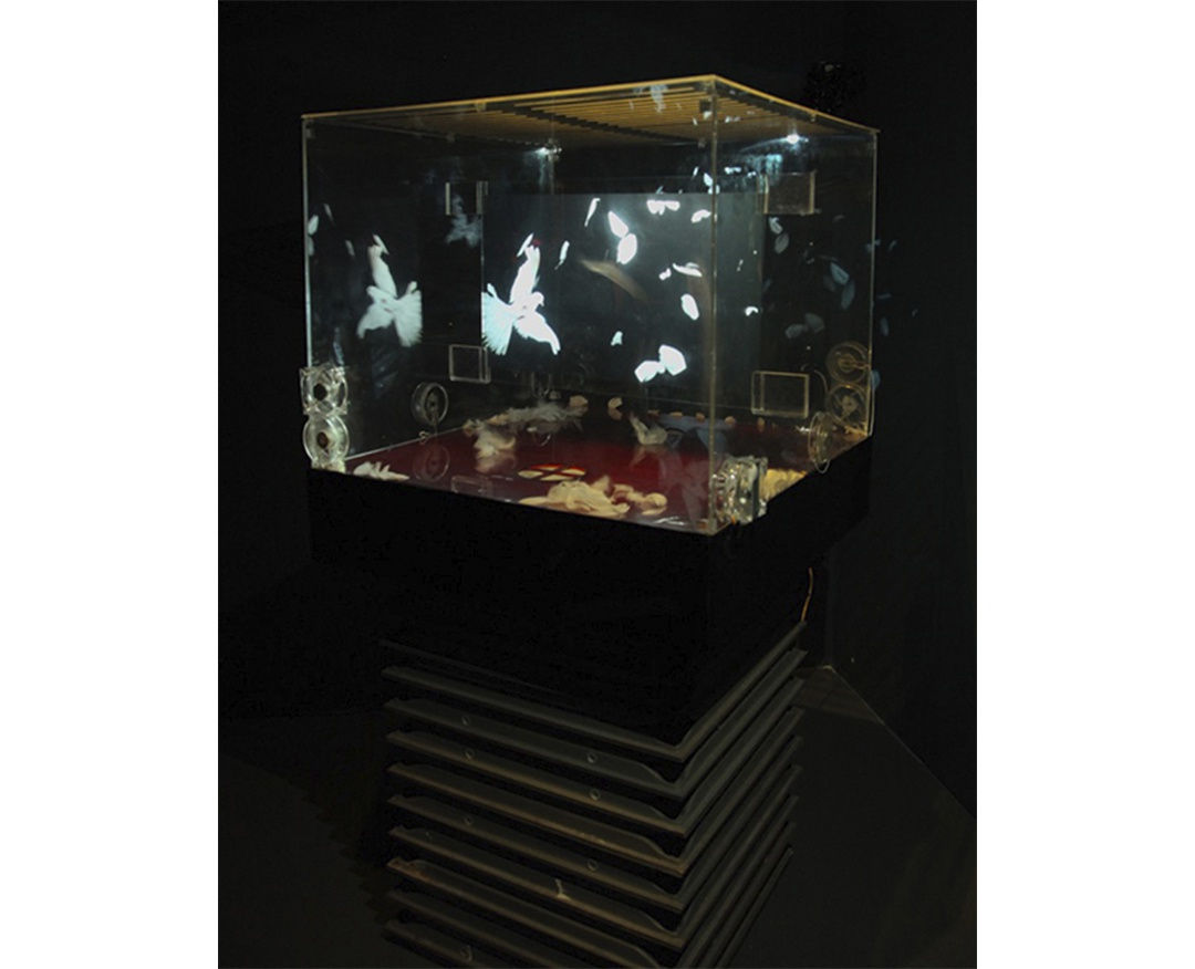 Eder Santos, Oxalá, 2023