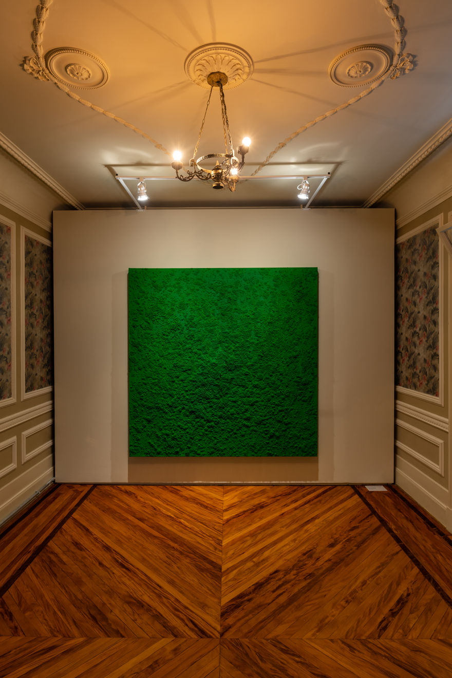 Bosco Sodi, vista da exposição 