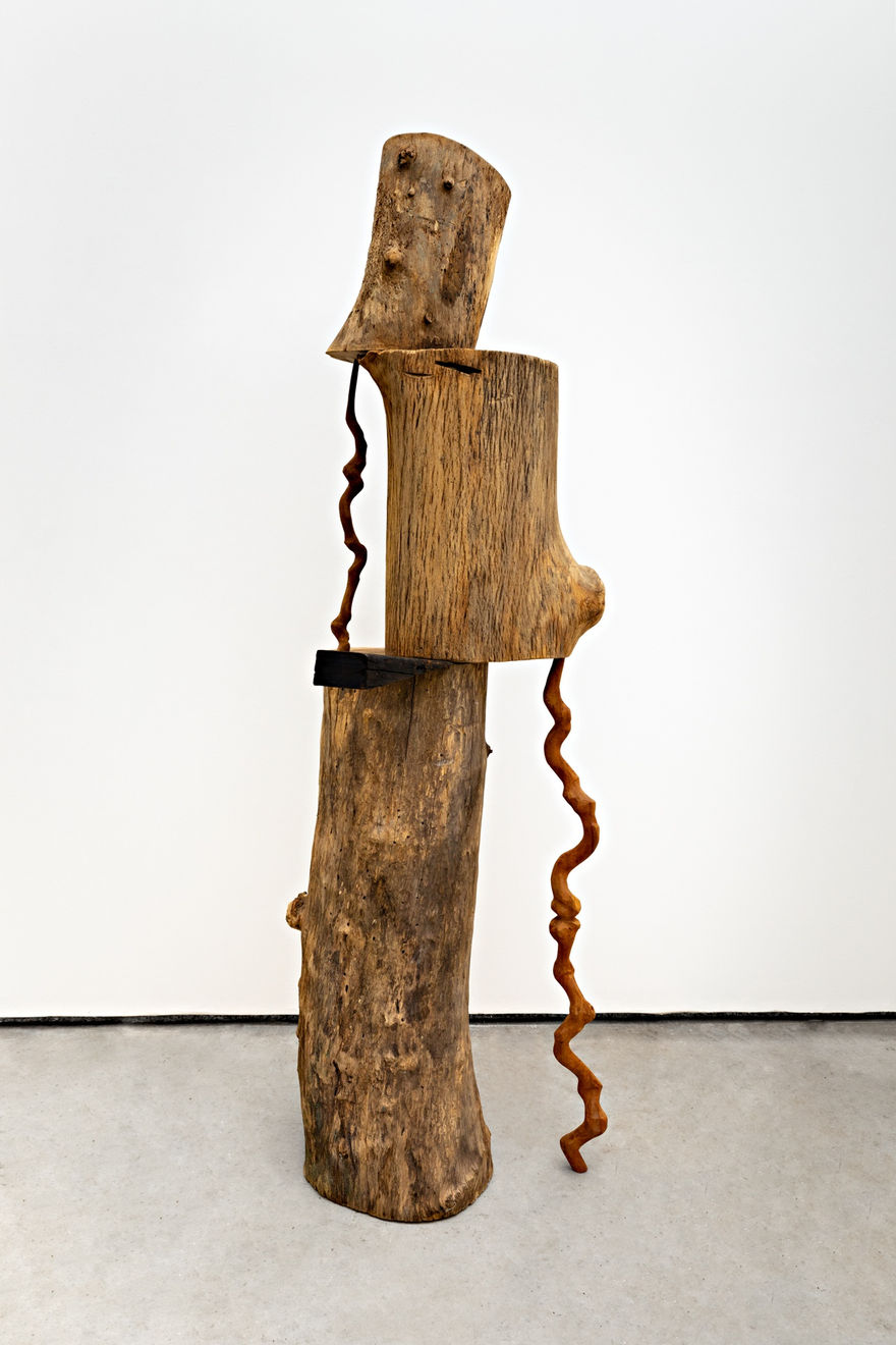 Afonso Tostes, Sem título | Untitled, 2022