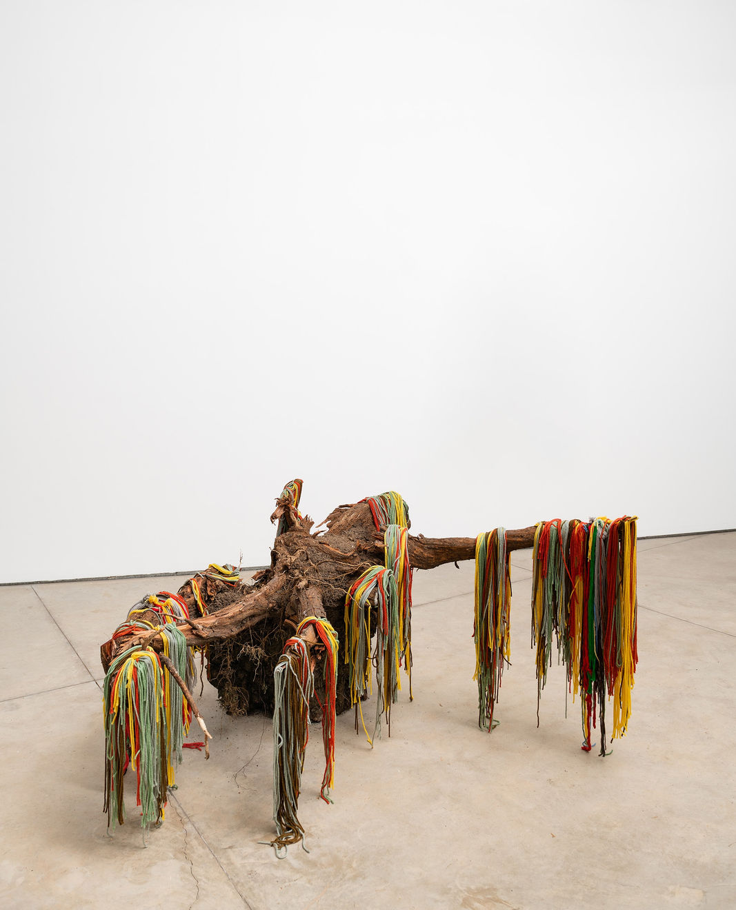 Antonio Pichillá, ¨Tierra¨, 2023