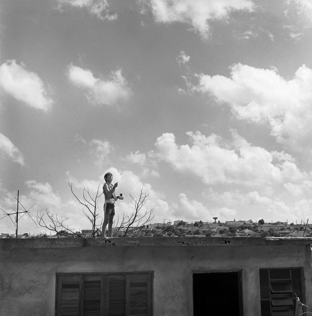 João Luiz Musa, “49 Menino Empinando Pipa”, 1978