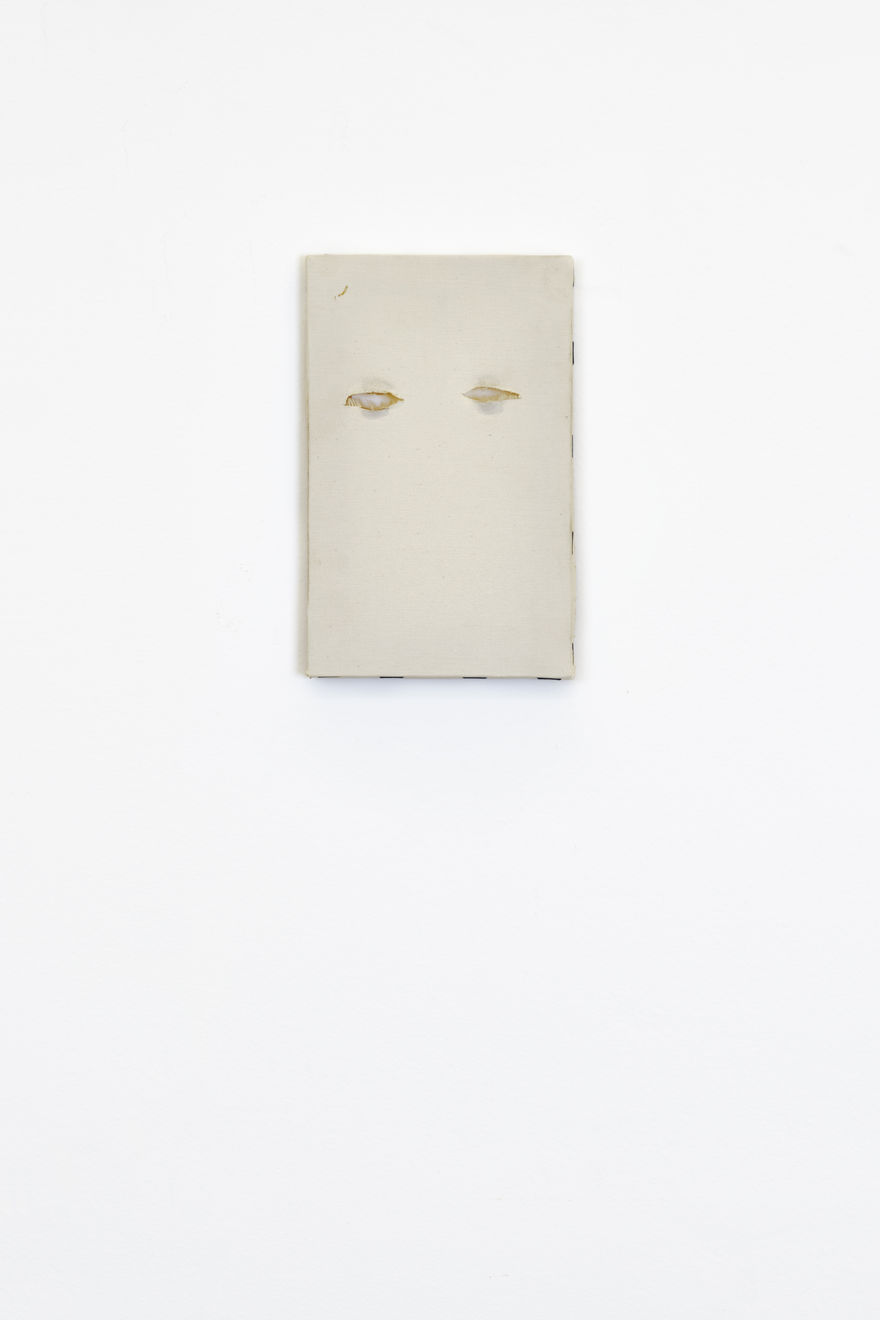 Fernando Zarif, Operação Plástica / Chirurgie Esthétique (Portrait), 1997