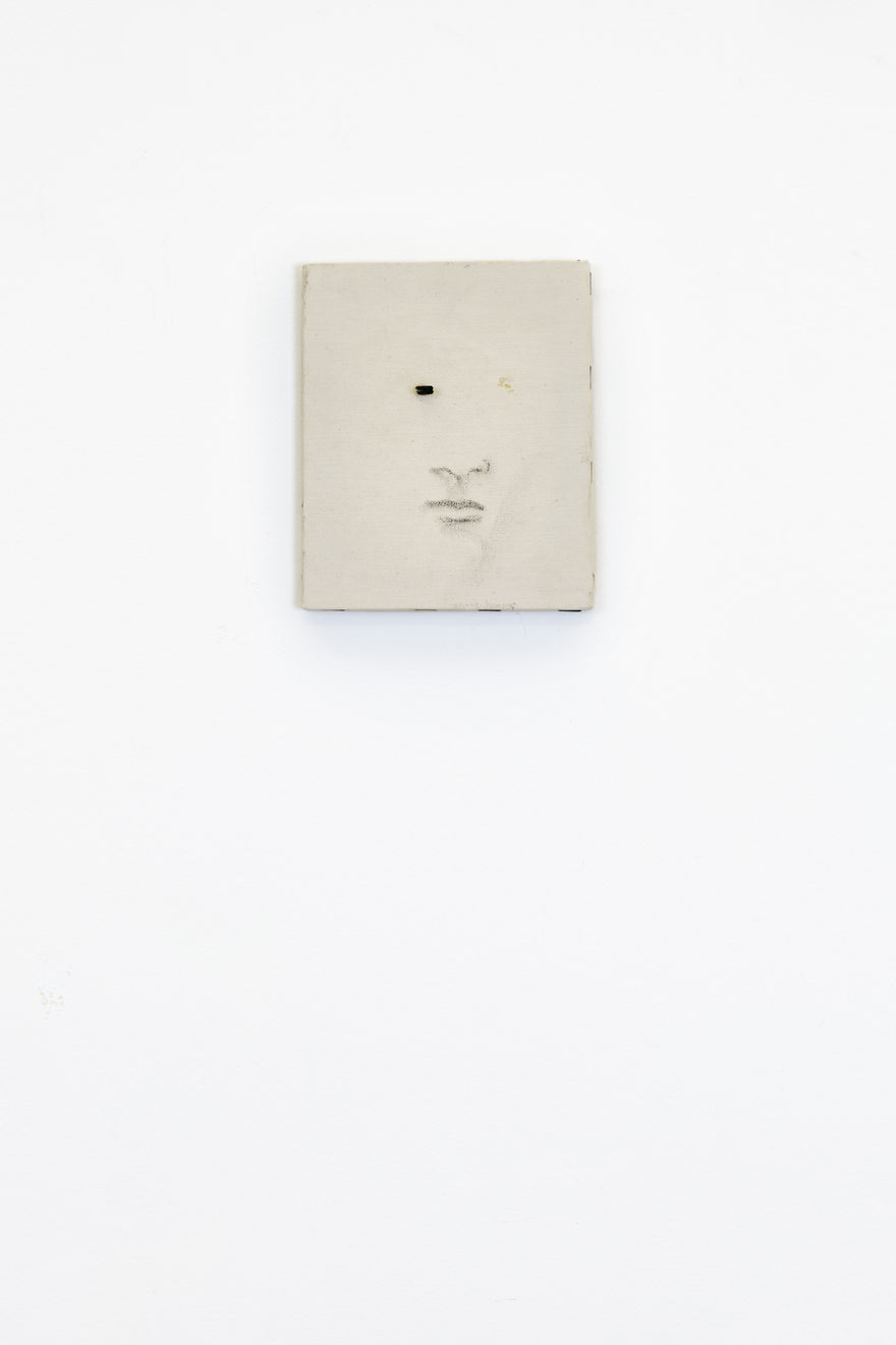 Fernando Zarif, Operação Plástica / Chirurgie Esthétique (Portrait), 1997