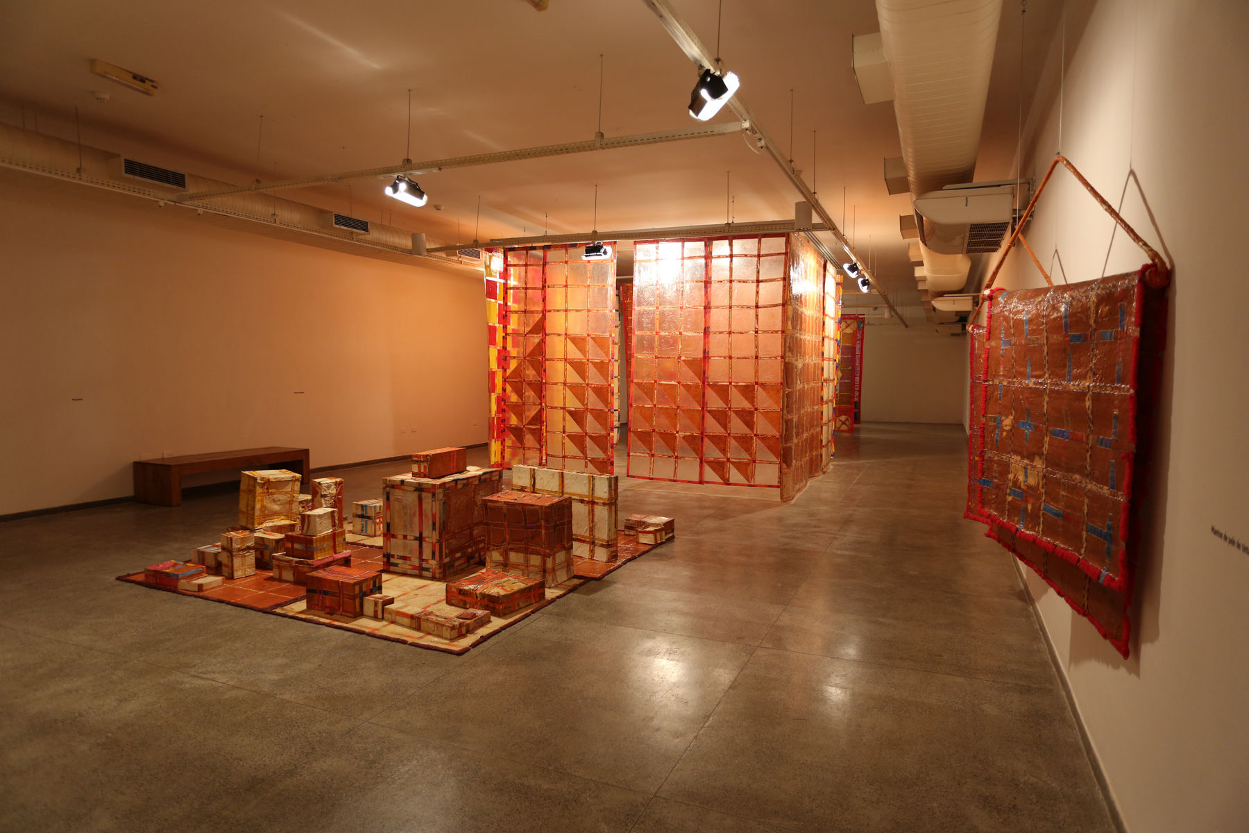 Delson Uchôa, “Mantos de pele de tinta”, s.d.