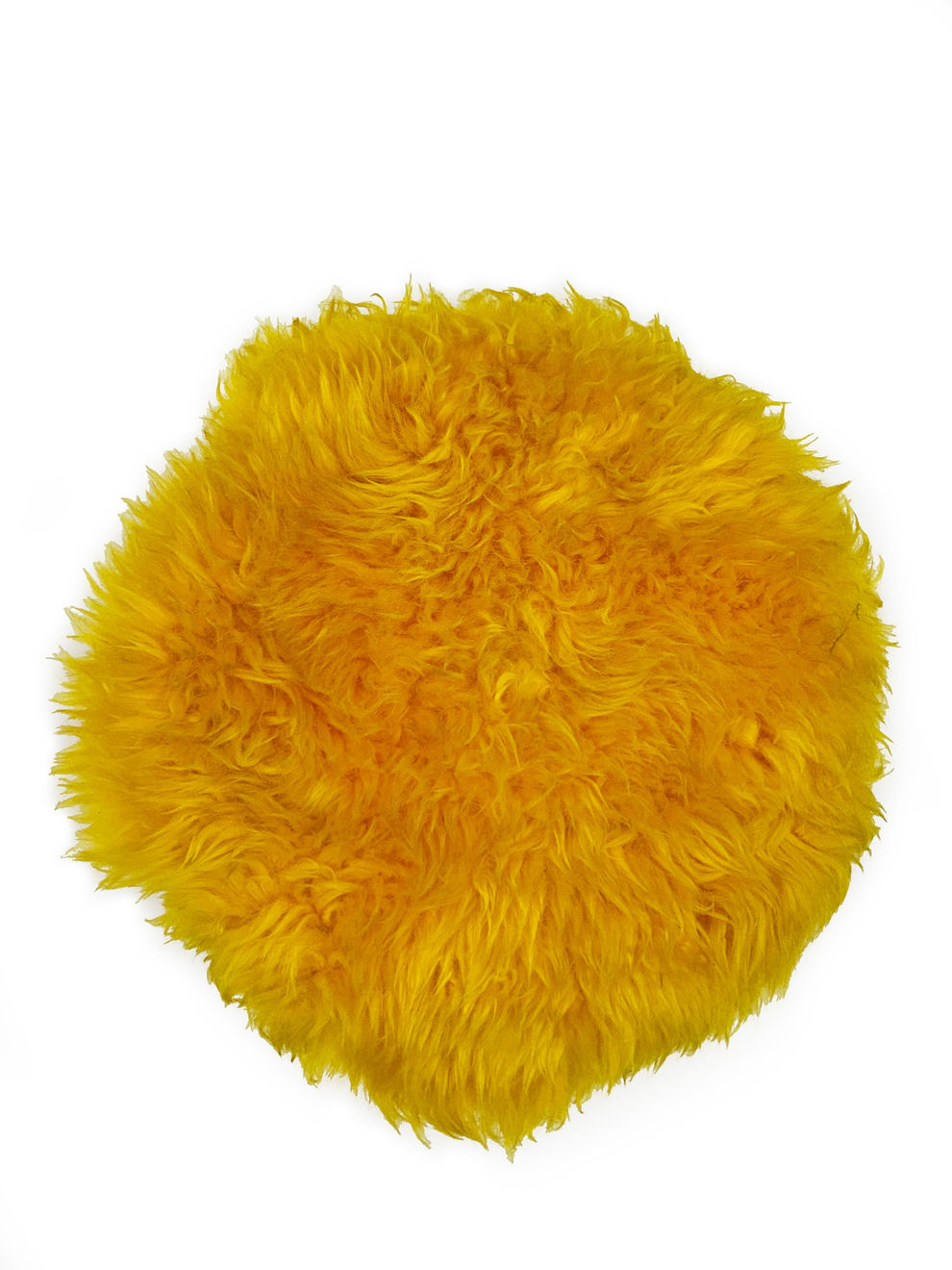 Campana, “Banco Peludinho”, 2024