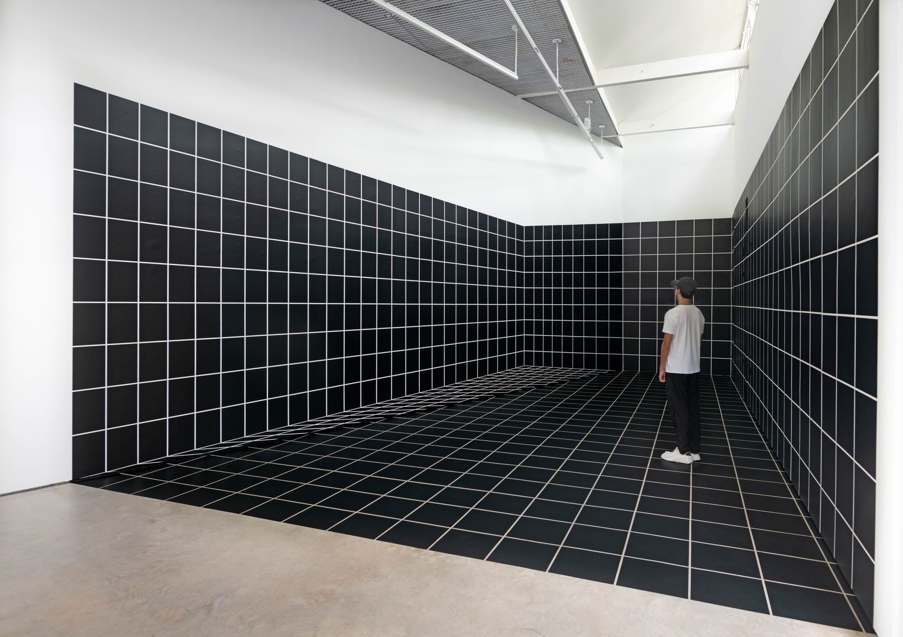 Regina Silveira, “GRAPH”, 2025