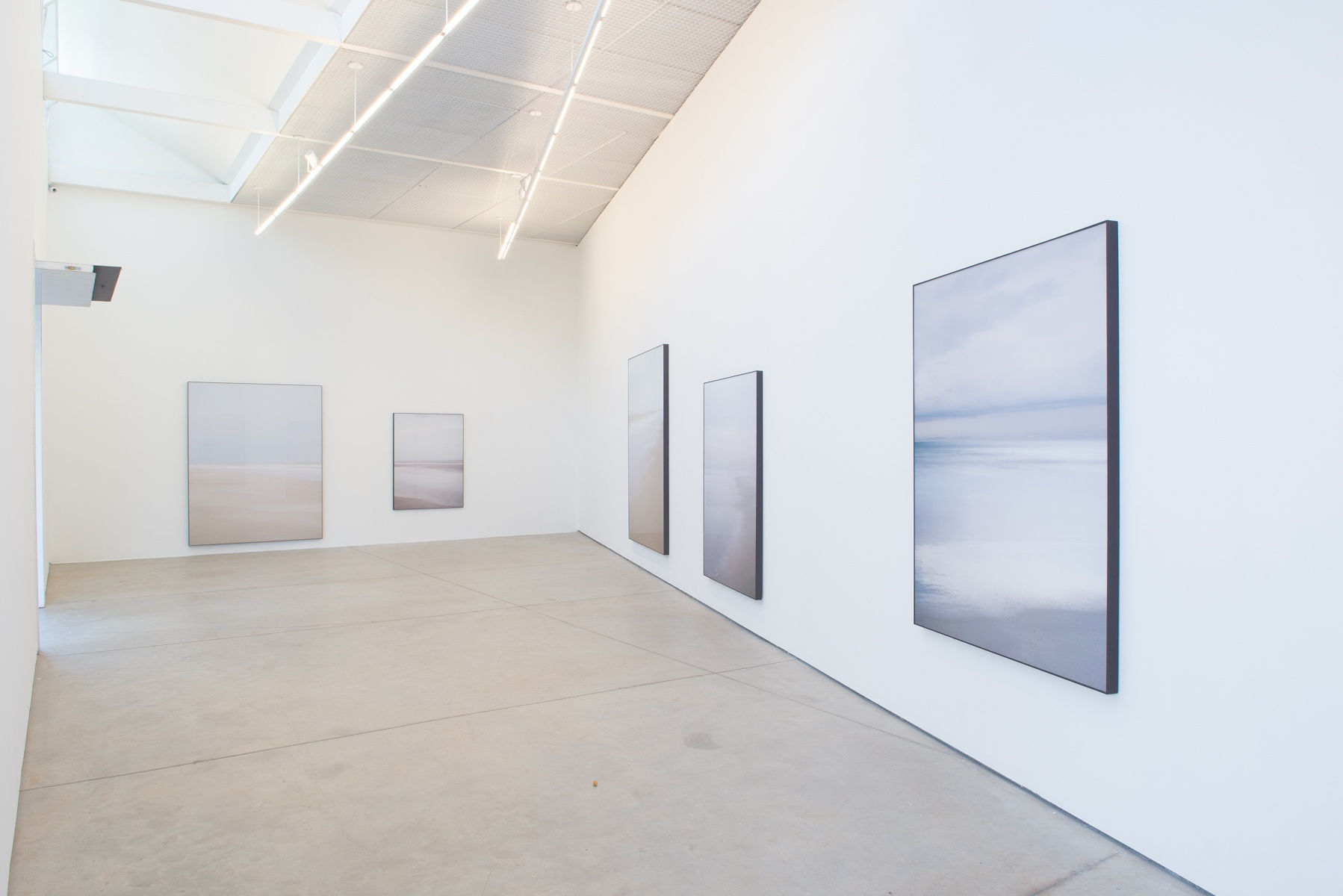 Caio Reisewitz, Cassino IV, 2019