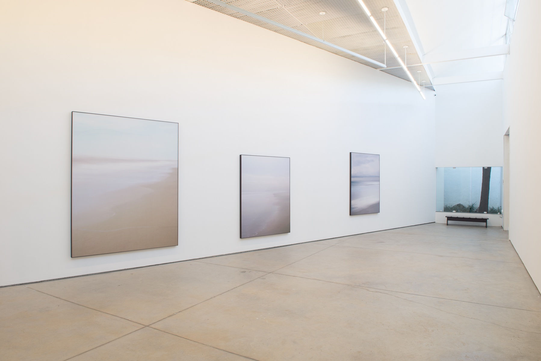 Caio Reisewitz, Cassino IV, 2019