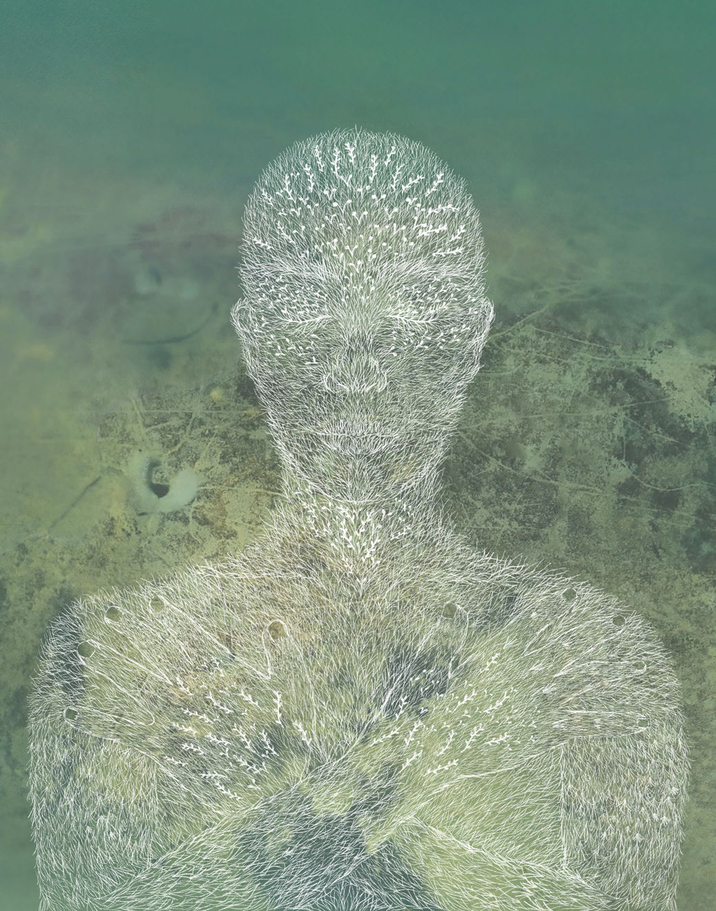 Nicole Salcedo, Bay Dreaming, 2021