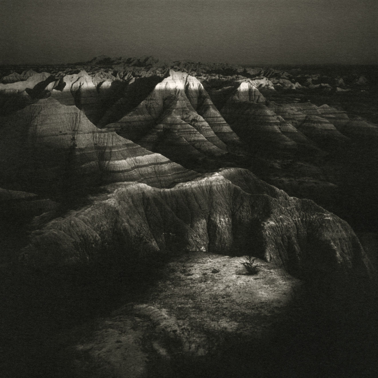 Keith Taylor, #001 from the series 'Otherworld', 2019