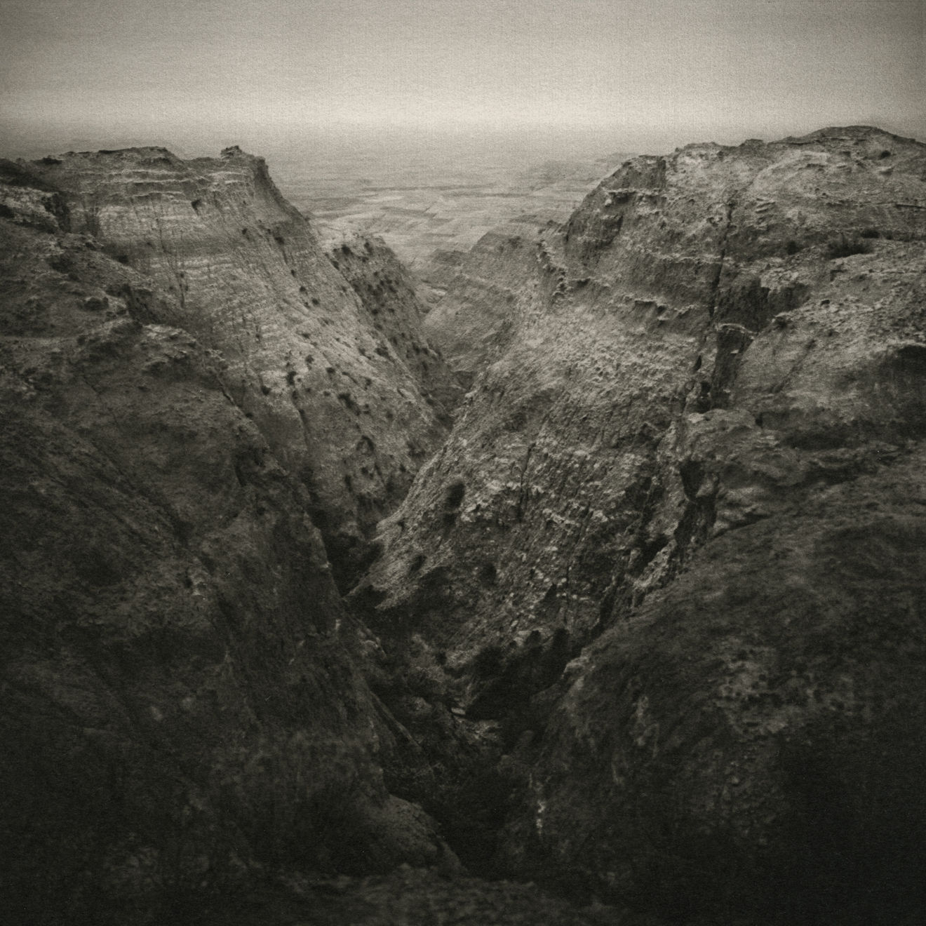 Keith Taylor, #001 from the series 'Otherworld', 2019