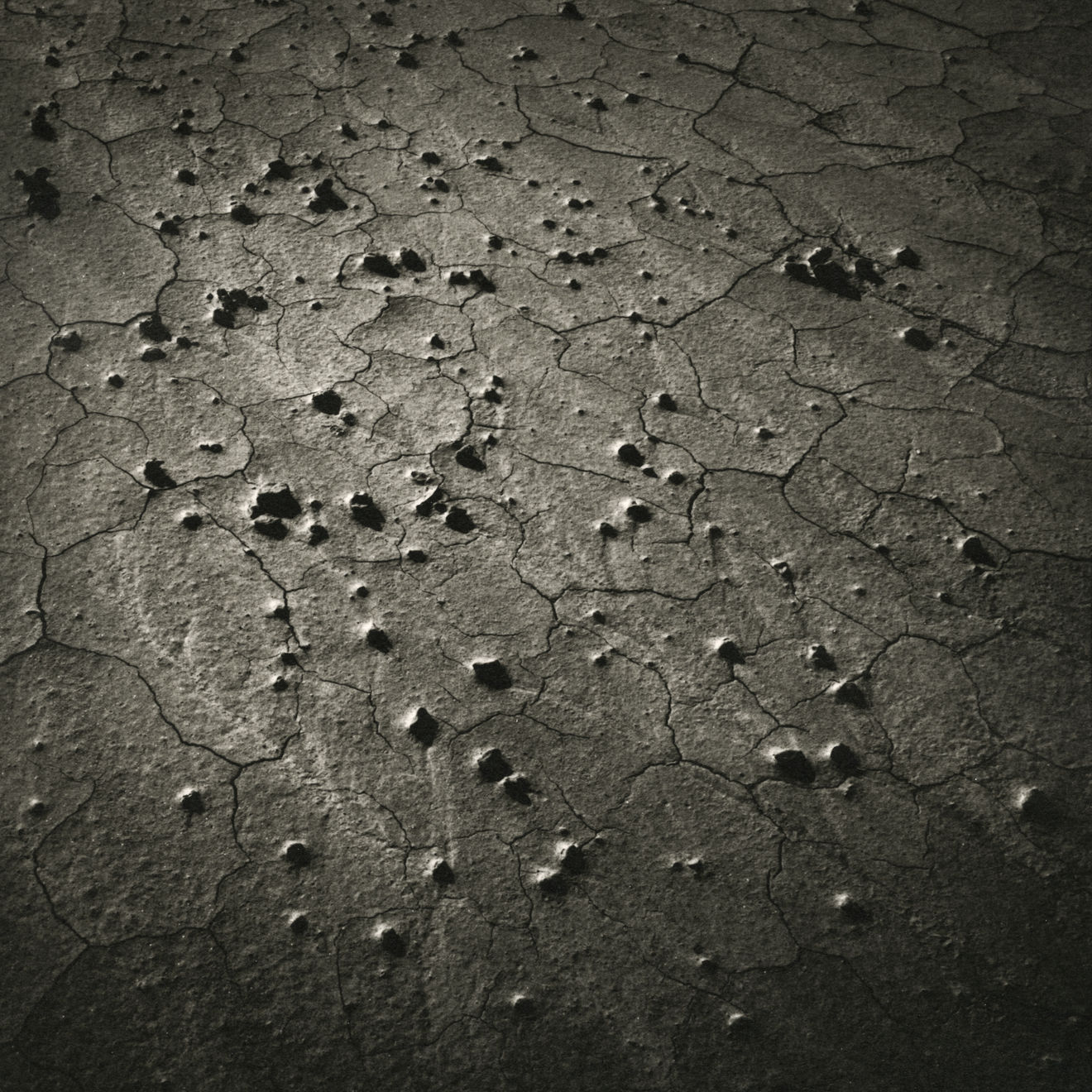 Keith Taylor, #001 from the series 'Otherworld', 2019