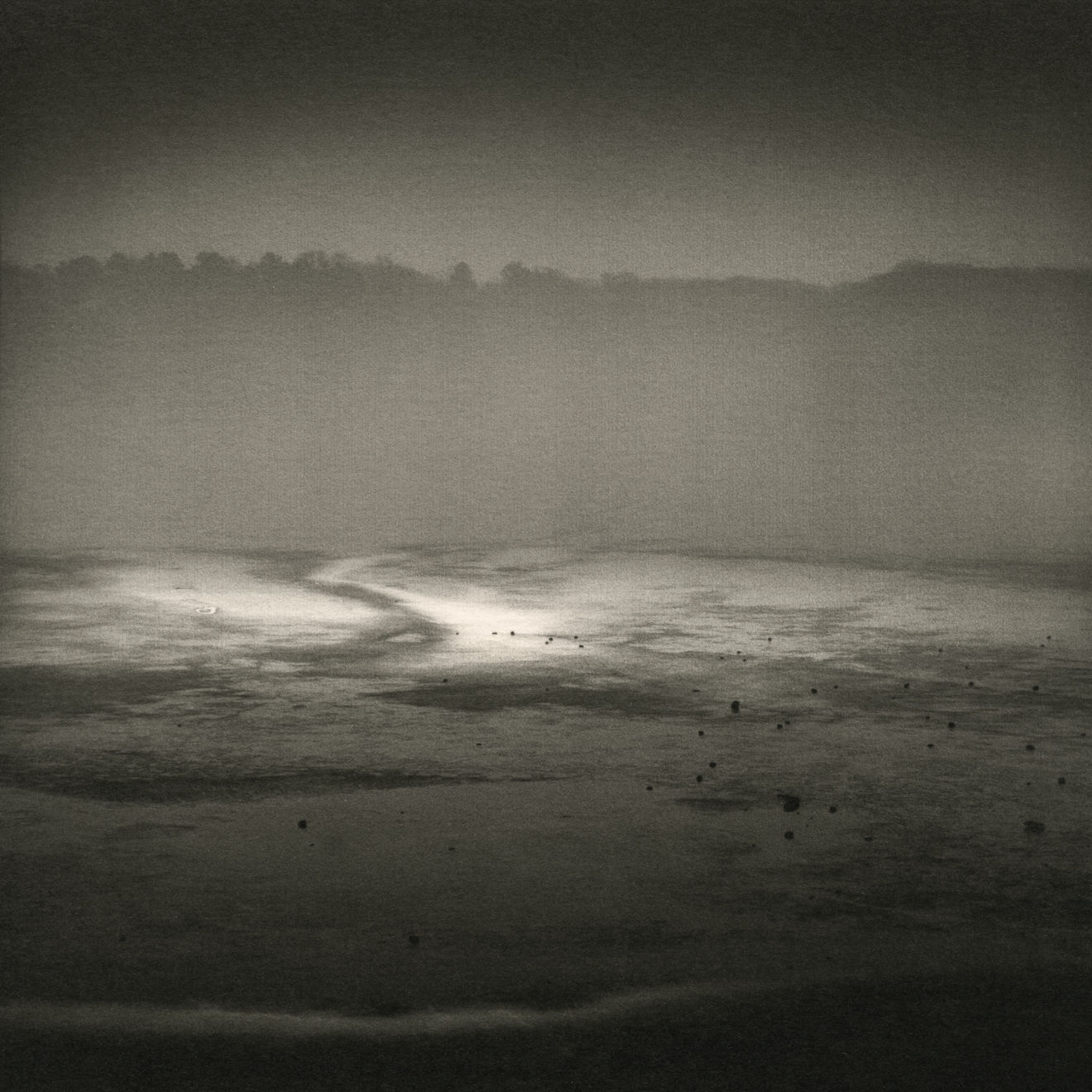 Keith Taylor, #001 from the series 'Otherworld', 2019