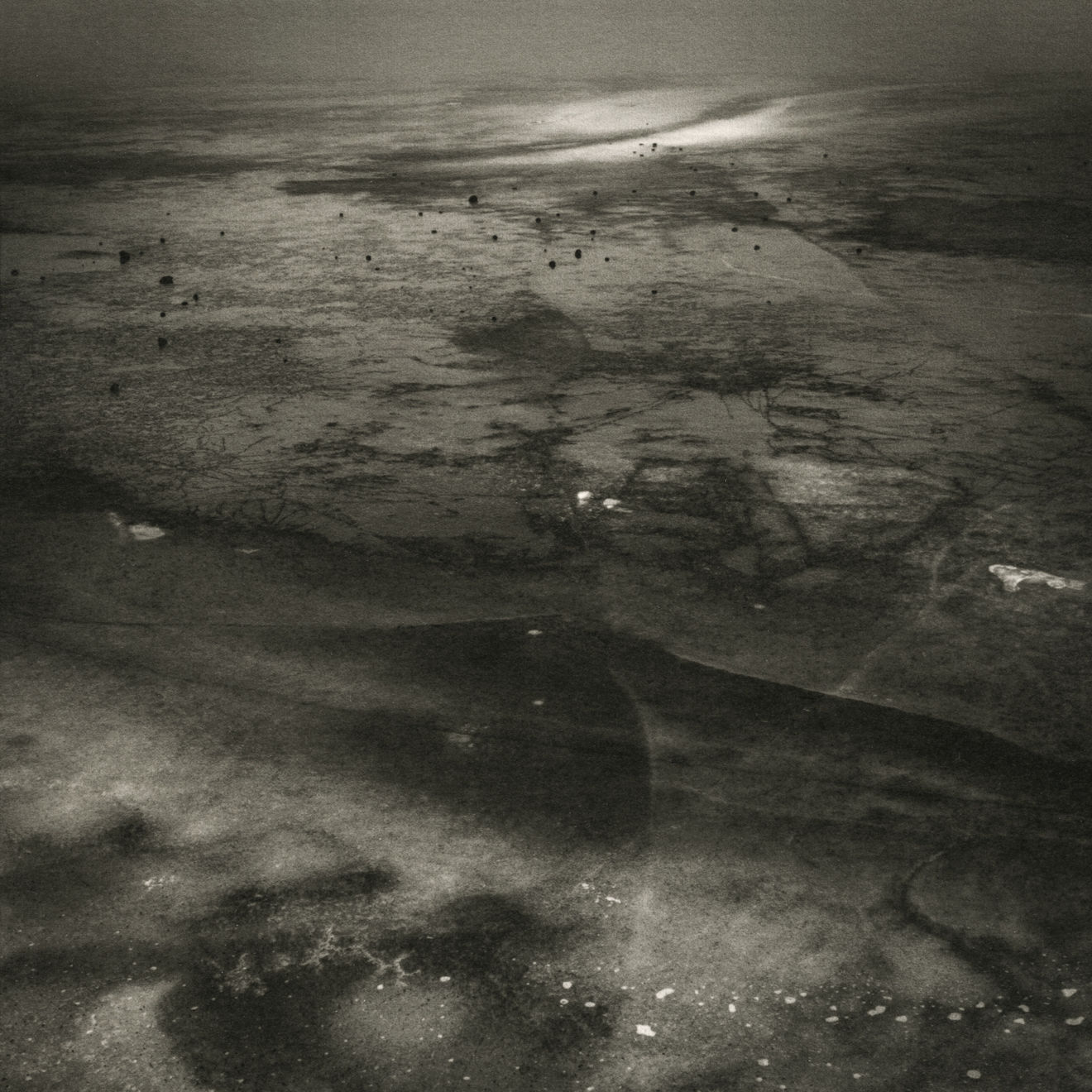 Keith Taylor, #001 from the series 'Otherworld', 2019